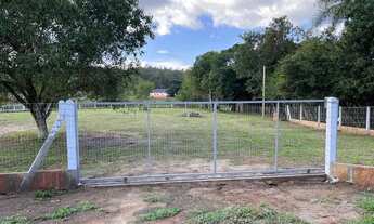 Imagem 3: Chacrinha em Sapiranga