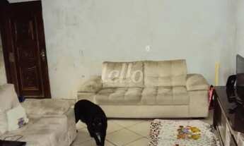 Imagem: São Paulo - Casa Padrão - São Lucas