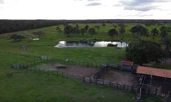 Imagem 7: Fazenda Vale do Boi - Ideal para pecuária