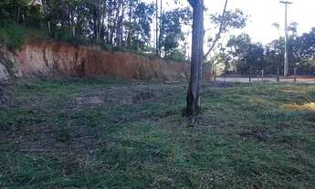 Imagem 5: Terreno plano, a 2,8 km do centro de Pinhalzinho