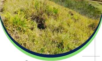 Imagem: Lotes a venda