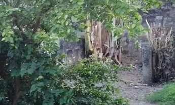 Imagem 5: 02 terrenos valverde com kitnet