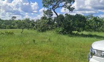 Imagem 2: Fazenda 12 alqueires