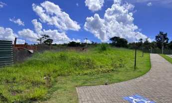 Imagem 5: Lote Terras Alpha