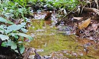 Imagem: Chácara Com 4.300M² - Parcelo Direto