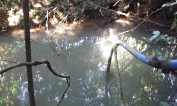 Imagem 3: Fazendinha de 40.000m² Baldim (Temos mais opções