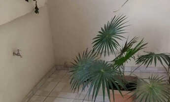 Imagem: Aluga casa. Jacobina ba