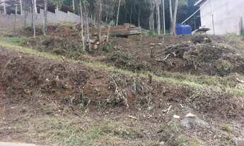 Imagem 4: Lote na Serra da Cantareira KM 12