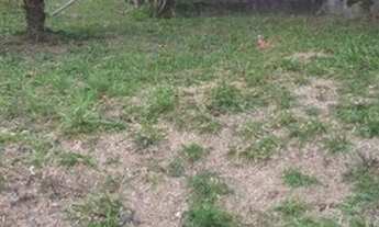 Imagem 6: Casa JARDIM VILLACA SAO ROQUE SP Brasil