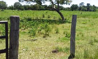 Imagem 5: Fazenda município de Crixás 128 alqueires!!