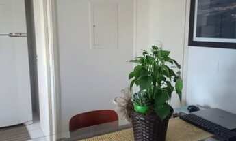 Imagem 5: Apartamento Condomínio Horizontes - Araçatuba - SP