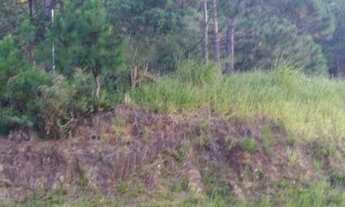 Imagem 4: Terreno à venda, 886 m² por R$ 1.760.000,00 - Itacorubi - Florianópolis/SC