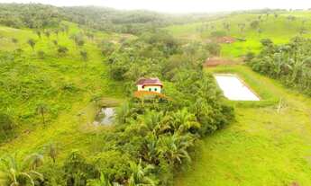 Imagem 7: Fazenda para Venda em Miranorte, Região produtora consolidada
