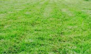 Imagem 3: Fazenda em Teresina do Goiás