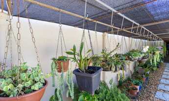 Imagem 3: Chácara Residencial de 4 dormitórios no Portal dos Ipês