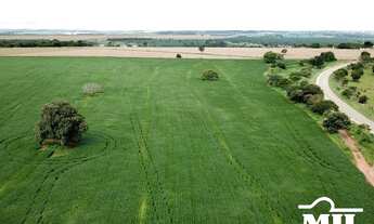 Imagem 3: Chácara 5,5 em Cromínia - GO