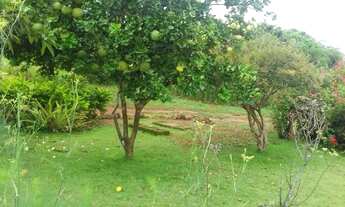 Imagem 6: Chácara em Brazlândia - DF na Chapadinha