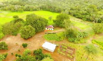 Imagem 3: Fazenda para Venda em Miranorte, Região produtora consolidada
