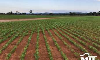 Imagem 6: Fazenda em Silvanopolis-TO. > 391 Alq. (1.894 Há). em Soja