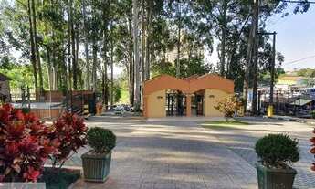 Imagem 6: Apartamento para Locação em São Paulo, Vila do Castelo, 3 dormitórios, 1 banheiro, 1 vaga