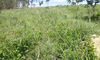 Imagem 4: Fazendinha 17 Hectares em Passa Tempo MG ,com muita Agua Aceito Permuta