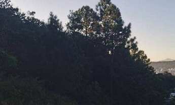 Imagem 6: Terreno à venda, 886 m² por R$ 1.760.000,00 - Itacorubi - Florianópolis/SC