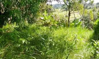 Imagem 2: Vendo sítio em Nazaré das farinha