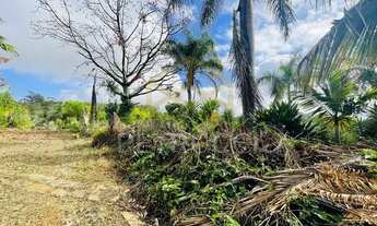 Imagem 2: Chácara - Dois Córregos - Valinhos