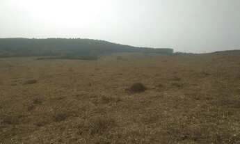 Imagem 6: Lote / Terreno à venda em Catas Altas