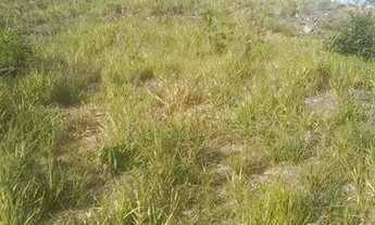 Imagem 6: Vende-se este terreno