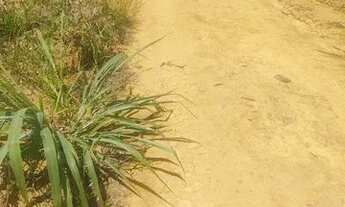 Imagem 2: Chácara 5000 metros