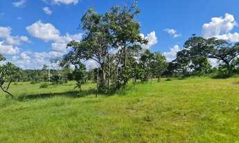 Imagem 5: Fazenda 12 alqueires