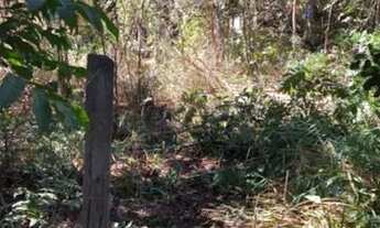 Imagem 6: Vendo Excelente Lote na Ilha Do Mangabal