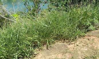 Imagem 5: Chácara para venda em Condomínio na Represa de Igaratá