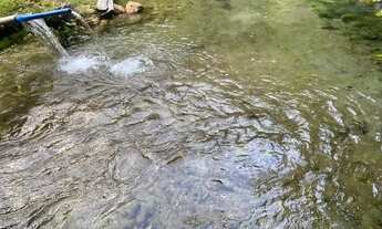 Imagem: Fazendinha em bom jardim