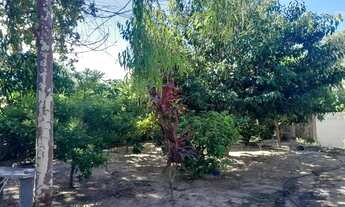 Imagem: Na ilha de itamarscar.forte orange