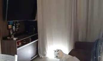 Imagem: Apartamento para venda 2 quartos em Resgate