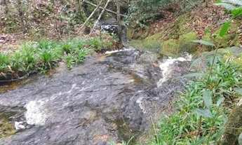 Imagem 2: Sítio (título definitivo)200x2000 com cachoeira em Presidente Figueiredo