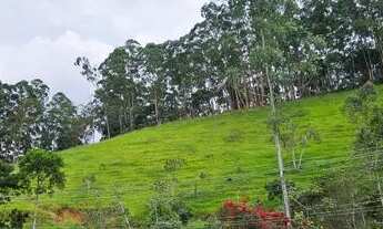 Imagem 5: Sitio Chácara com venda por R$330.000