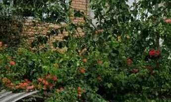 Imagem 2: R Califórnia / Oportunidade!