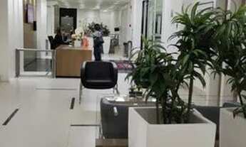 Imagem 3: Sala - Centro - Campinas