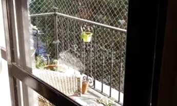 Imagem 6: Apartamento à venda - 112m² - 3 dorms. - 1 suite - 2 vagas de garagem