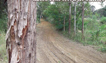 Imagem 5: 1.000 metros 100% plano, entrada mais 84x de 499 fixas