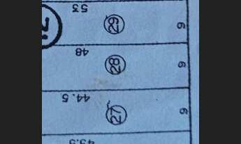 Imagem 6: TERRNO 3472m2 Parque independência 8 terrenos , 100% planos e com 40m de cumprimento
