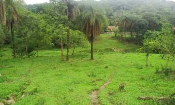 Imagem 5: Fazenda 36 hectares localizada no distrito de Azurita, na cidade de Mateus Leme