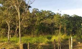 Imagem 4: Oportunidade em Planaltina DF!Vendo excelente chácara com muita água!