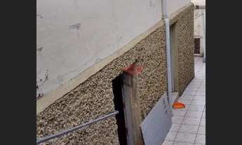 Imagem 4: Casa à venda, Baeta Neves, São Bernardo do Campo