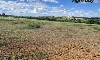 Imagem 5: Fazenda 60 alqueires Professor Jamil