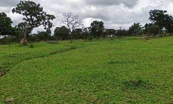 Imagem: Sítio 7 Alqueires Pasto Rio Fundos 5 KM