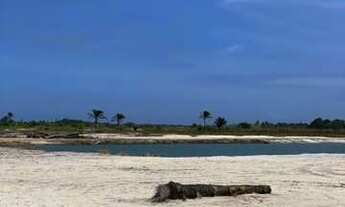 Imagem 3: Lote/Terreno para venda com 1000 metros quadrados em Barra Grande - Maraú - BA